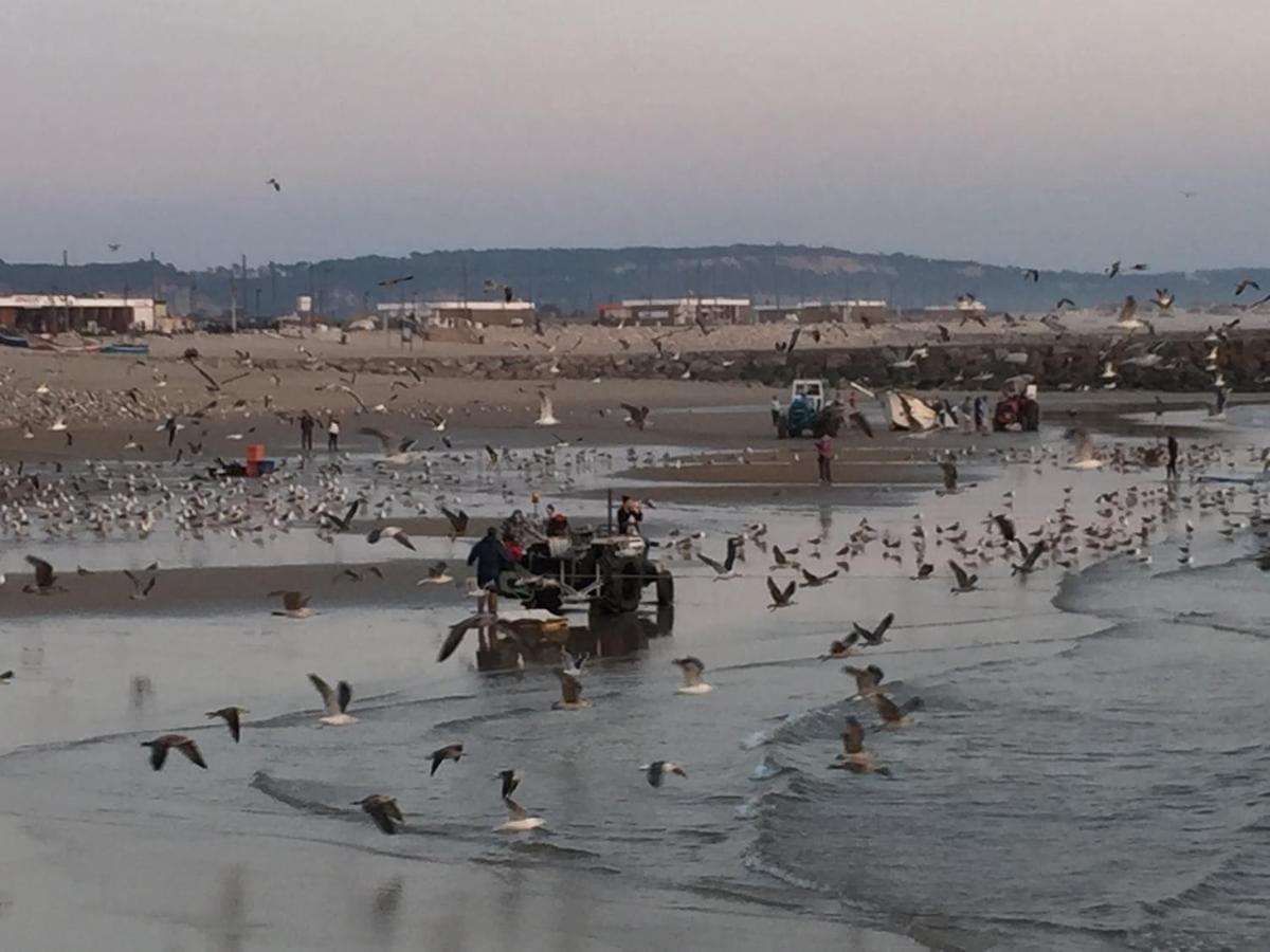 Caparica Ocean View Διαμέρισμα Costa de Caparica Εξωτερικό φωτογραφία